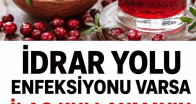 İdrar Yolu Enfeksiyonunu Geçiren 7 Doğal Yöntem