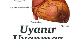Sabah Aç Karnına Su İçmenin Faydaları Nelerdir