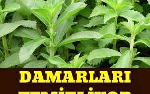 Yüksek Tansiyona